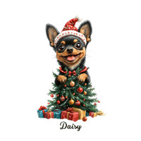 Chihuahua Daisy BLK