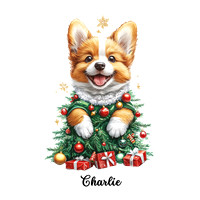Corgie Charlie