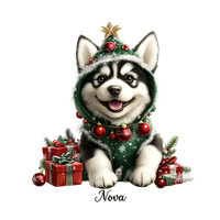 Husky Nova
