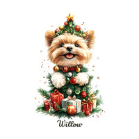 Lhaso Willow