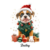 Boxer Bailey
