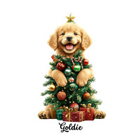 Golden Goldie