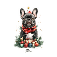 Frenchie Max BLK